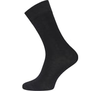 Мужские носки БРЕСТСКИЕ 2453 arctic, р.23, 000 черный 11045902024000
