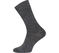 Мужские носки БРЕСТСКИЕ 2453 arctic, р.29, 000 темно-серый 11045905008000