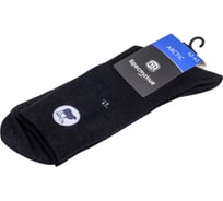 Мужские носки БРЕСТСКИЕ 2453 arctic, р.27, 215 черный 11045904024215