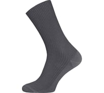 Мужские носки БРЕСТСКИЕ 2221 basic, р.27, 009 темно-серый 11022604008009