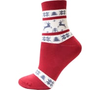 Женские носки БРЕСТСКИЕ 1408 arctic, р.25, 160 темно-вишневые 10927703066160