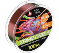 Леска AZOR FISHING Хамелеон, нейлон, 100м, 0.25мм, 8,0кг 144-065