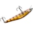 Воблер Strike Pro Inquisitor 80SP цвет: A68G Broun Gill Transparent EG-193A-SP#A68G 4