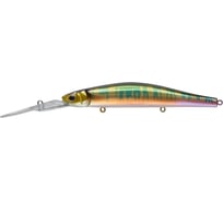 Воблер Strike Pro Inquisitor DR 110SP цвет: A203-264 River Radical EG-193BL-SP#A203-264
