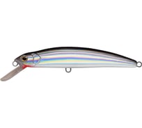 Воблер Strike Pro Musky Monster DM160 цвет: A010-EP Black Back Silver MG-006F#A010-EP