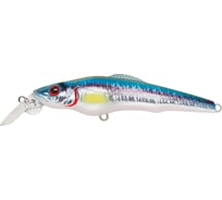 Воблер Strike Pro Challenger X 90 цвет: A210-SBO-RP Rainbow Ghost Wakasagi EG-076C-F#A210-SBO-RP