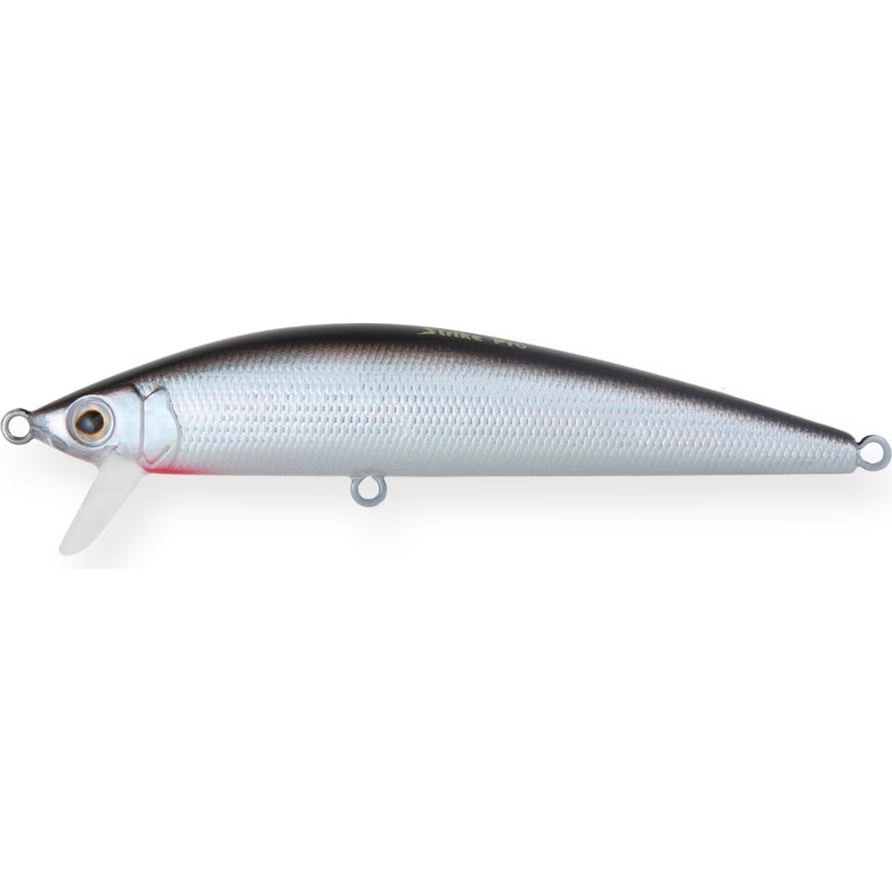 Воблер Strike Pro Euro Minnow 110 цвет: A010-EP Black Back Silver  JL-115F#A010-EP - выгодная цена, отзывы, характеристики, фото - купить в  Москве и РФ