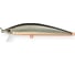 Воблер Strike Pro Euro Minnow 90 цвет: A70-713 Black Silver OB JL-108L#A70-713 4