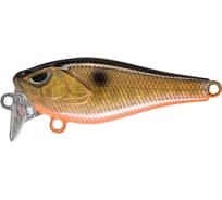 Воблер Strike Pro Крэнк Funky-X Crank, Medium Trank 36F, цвет: 613-713 Black Back Smoked OB EG-23 EG-239#613-713