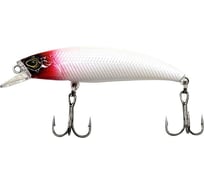 Воблер Namazu Angelic, L-58 мм, 4 г, минноу, плавающий (0.5-1.0м), цвет №1 N25-58-C01