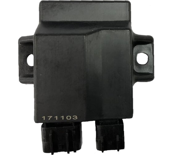 Блок управления зажиганием Skipper для Tohatsu MFS8-MFS9.8 SK3AA-06060-0 1