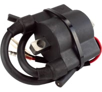 Катушка зажигания Skipper для Yamaha E9.9D-E15D SK6B4-85570-00