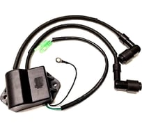 Блок зажигания для Tohatsu 6/8/9.8 Skipper SK3B2-06170-0