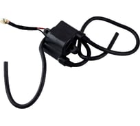 Катушка зажигания для Yamaha 9.9D-15D/20-25 Skipper SK6E7-85570-19