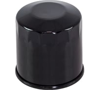 Фильтр масляный Skipper Skipper для Honda BF25-50, 5GH1344000, 3R007615 SK15400-PFB-007