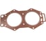 Прокладка головки блока цилиндров Skipper для Yamaha 100-140 SK6E5-11181-A0 1