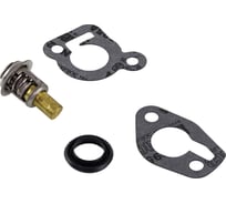 Ремкомплект термостата Skipper для Mercury 6-25 SK14586A3
