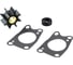 Ремкомплект помпы Skipper для Honda BF5A SK06192-ZV1-C00 1