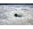 Беспроводной эхолот Deeper Smart Sonar Chirp+ DP3H10S10 5