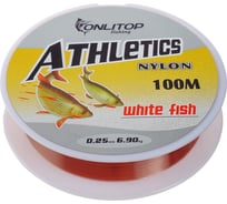 Леска ONLITOP White fish, d=0.25 мм, 100 м 1232712