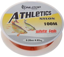Леска ONLITOP White fish, d=0.20 мм, 100 м 1232710