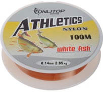 Леска ONLITOP White fish, d=0.14 мм, 100 м 1232707