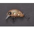 Плавающий воблер LUCKY JOHN LJ Pro Series HAIRA TINY LBF 03.30/505 Plus Foot HAT33LBF-505 1