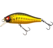 Плавающий воблер LUCKY JOHN LJ Pro Series ANIRA F 04.90, цвет 107 AN49F-107