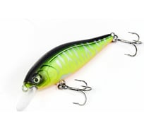 Плавающий воблер LUCKY JOHN LJ Pro Series ANIRA F 06.90, цвет 305 AN69F-305