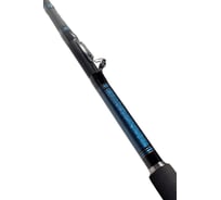 Спиннинг DAIWA EXCELER TROLLING 0070140
