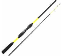 Штекерное удилище Helios KRACKEN 240, 2sec, 200g HS-K-240 00000246067