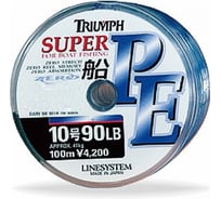 Шнур LINESYSTEM Triumph Fune PE 4 04380