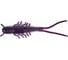 Искусственные съедобные виброхвосты Lucky John LJ Pro Series TIOGA HOG 2.5in 06.35 /S63 9шт 140194-S63 1