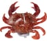 Крабы Lucky John LJ 3D Series CRAB 3.0in С04, джиг-головка 1/2OZ 14.0 г 140418-C04 3