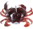 Крабы Lucky John LJ 3D Series CRAB 3.0in, С05, джиг-головка 1/2OZ 14,0 г 140418-C05 3