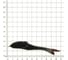 Поролоновая рыбка ЯМАН devious minnow на двойнике, р. 105 мм, цвет 14, 5 шт. Y-DM105-14 2