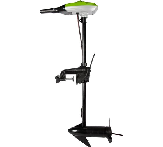 Лодочный мотор Greenworks G12TM55 9000107 1