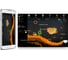 Беспроводной эхолот Deeper SONAR PRO DP1H20S10 9