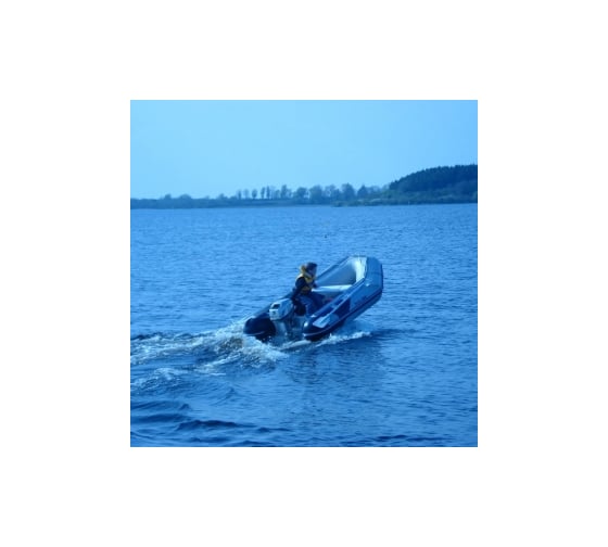 Надувная лодка Honda Honwave T32IE2BG