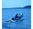 Надувная лодка Honda Honwave T32IE2BG 3