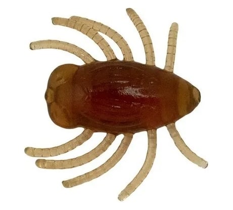 Мягкие приманки LureMax DUNG BUG 1''/3 см, Motor Oil, 5шт LSDB1-05-003