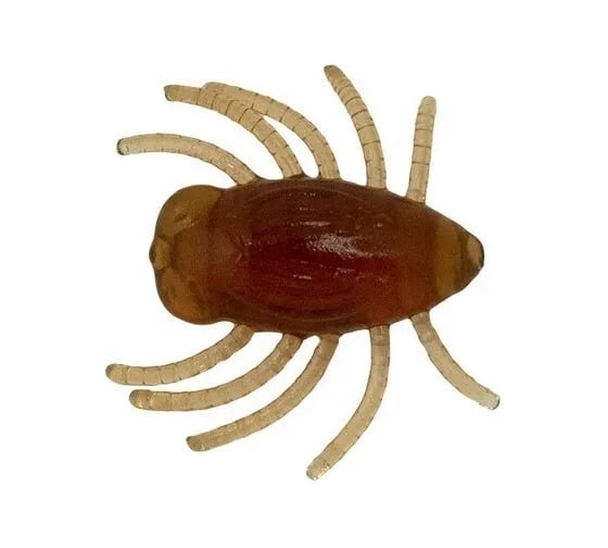 Мягкие приманки LureMax DUNG BUG 1''/3 см, Motor Oil, 5шт LSDB1-05-003