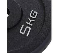 Чугунный диск Starfit BB-204 5 кг, d=26 мм, черный. УТ-00018818