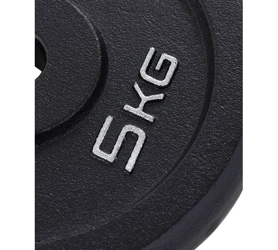 Чугунный диск Starfit BB-204 5 кг, d=26 мм, черный. УТ-00018818