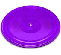 Диск Absolute Champion Здоровье фиолеотовый, металл АЧАЧ10226