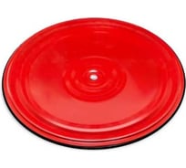 Диск Absolute Champion Здоровье красно-черный, металл АЧАЧ10230