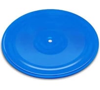 Диск Absolute Champion Здоровье синий, металл АЧАЧ10228