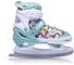 Раздвижные коньки ATEMI Kids Forest размер 27-30 00-00009662-27-30 1