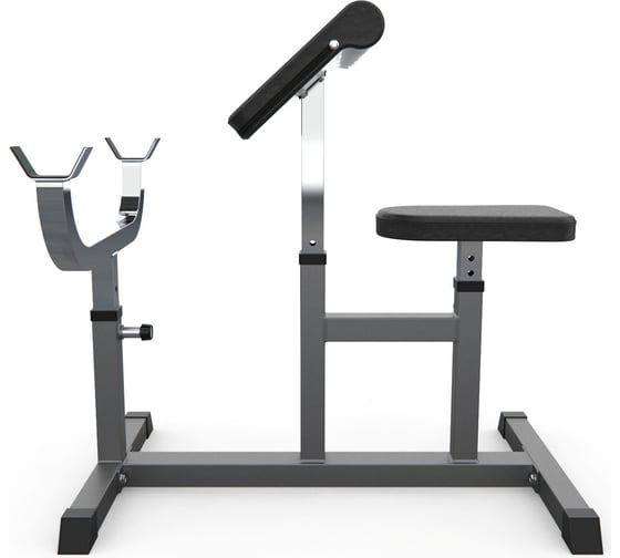 Скамья Скотта DFC Homegym серый UB009G