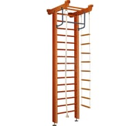 Детский спортивный комплекс Карусель 2Д.05.01 Орех 00000000028